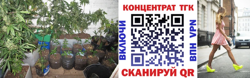 закладки  Нововоронеж  Дистиллят ТГК жижа 