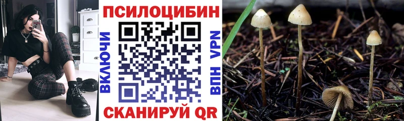 Галлюциногенные грибы Magic Shrooms ОМГ ОМГ ONION Нововоронеж