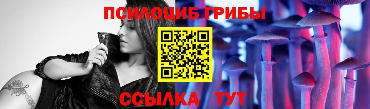 Нововоронеж  Галлюциногенные грибы Cubensis  Вход с VPN  Галлюциногенные грибы мицелий 