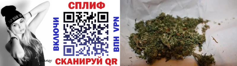 блэк спрут вход  Нововоронеж  Конопля VHQ 