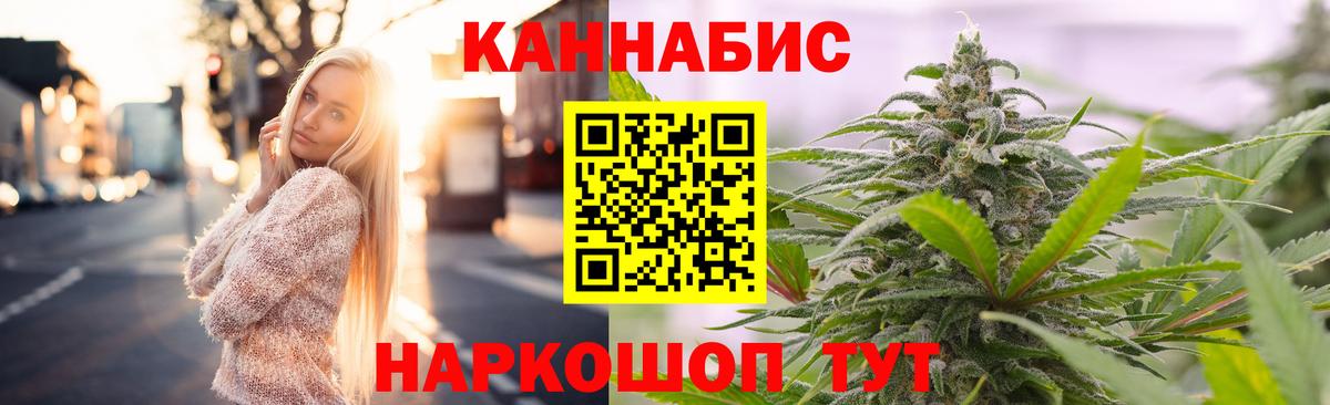 Конопля гибрид Нововоронеж